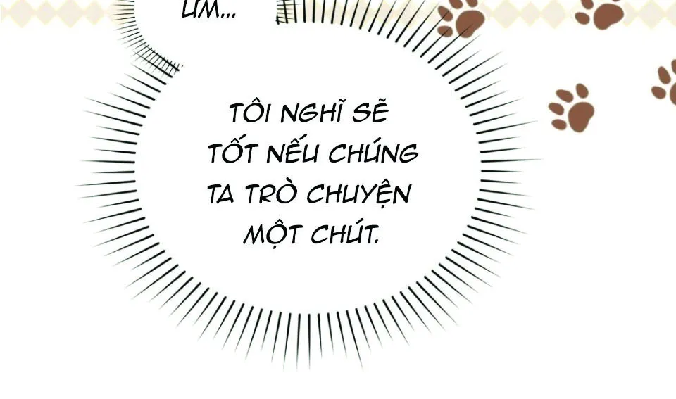 Hồn Lửa - Chương 5