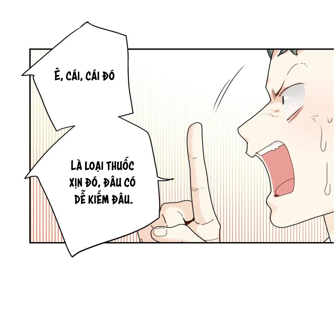 Tình Yêu Là Ảo Ảnh: Siêu Sao - Chương 8