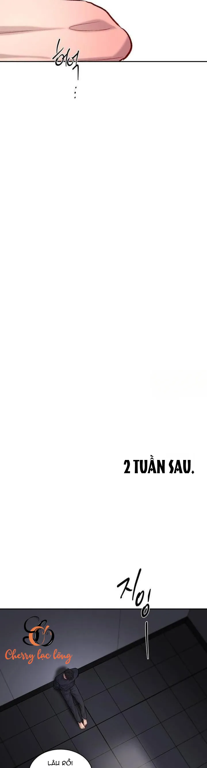 Dự Án Ron - Chương 4