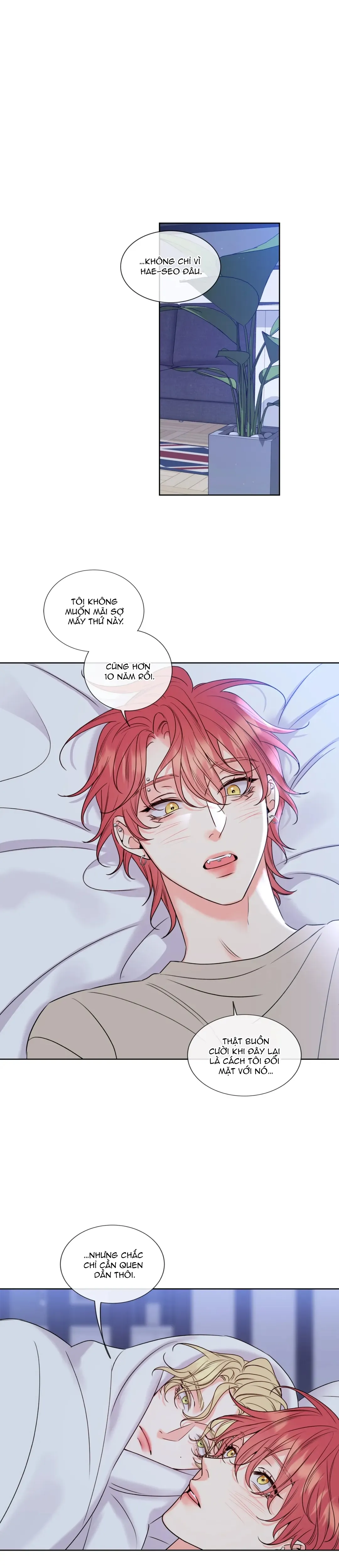 Hương Mật Lạc Lối - Chương 8