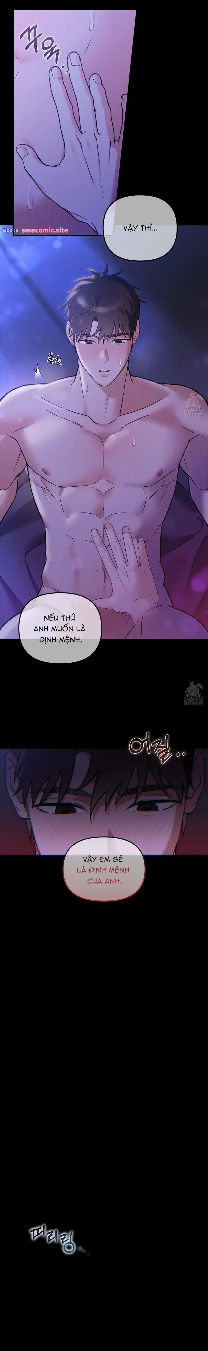 Định mệnh bất ngờ chạm mặt. - Chương 1