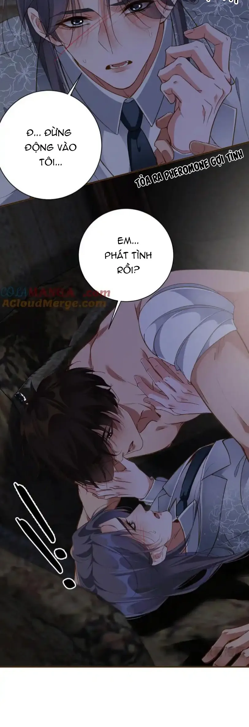 Chồng Cũ Lại Muốn Tái Hôn Rồi - Chương 83
