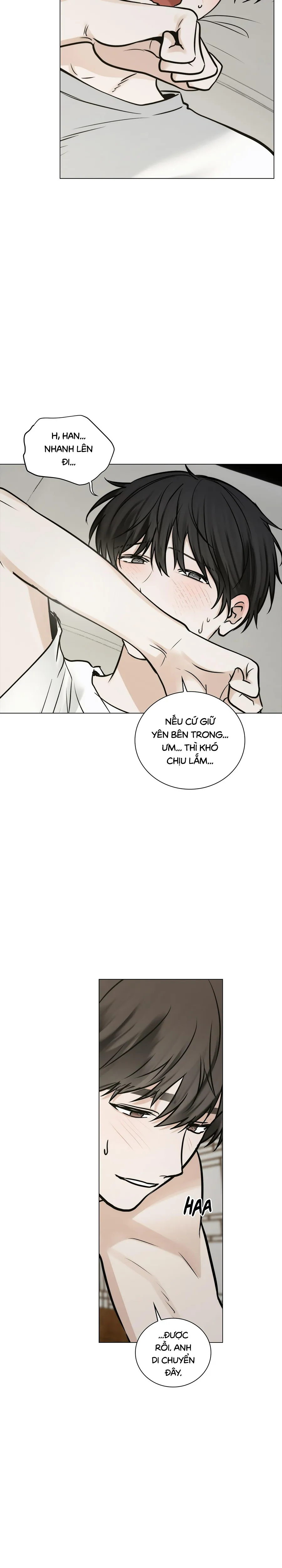 Phải Chăng Là Cậu - Chương NT7