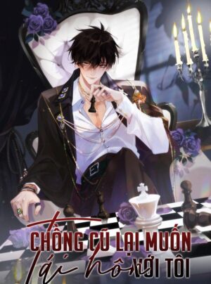 Truyện Chồng Cũ Lại Muốn Tái Hôn Rồi
