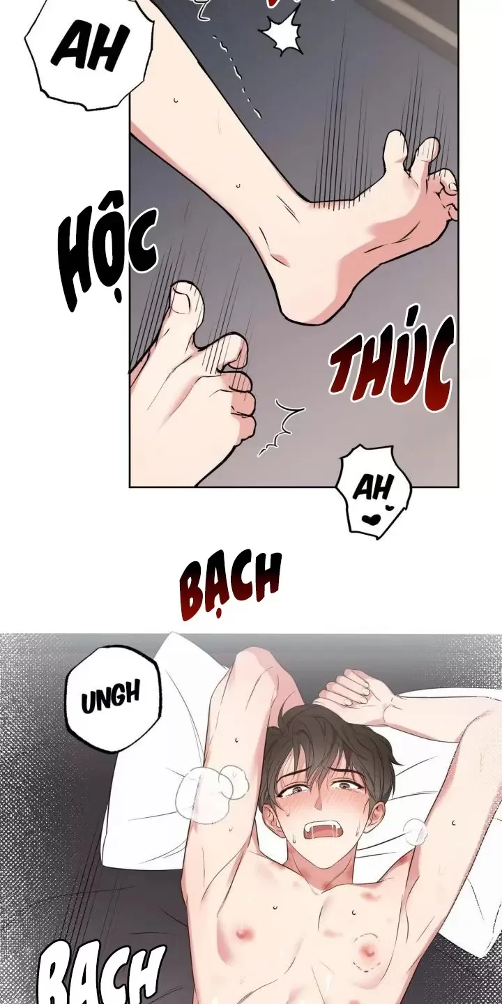 Dễ Dàng Nhận Ra - Chương 21