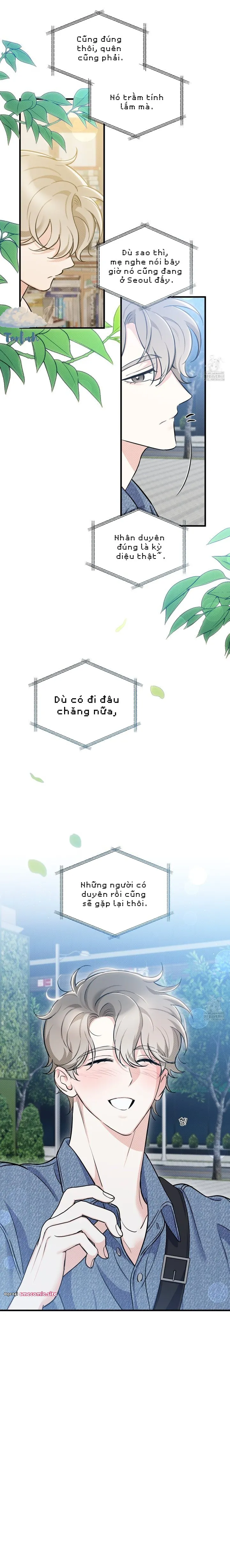 Định mệnh bất ngờ chạm mặt. - Chương 5