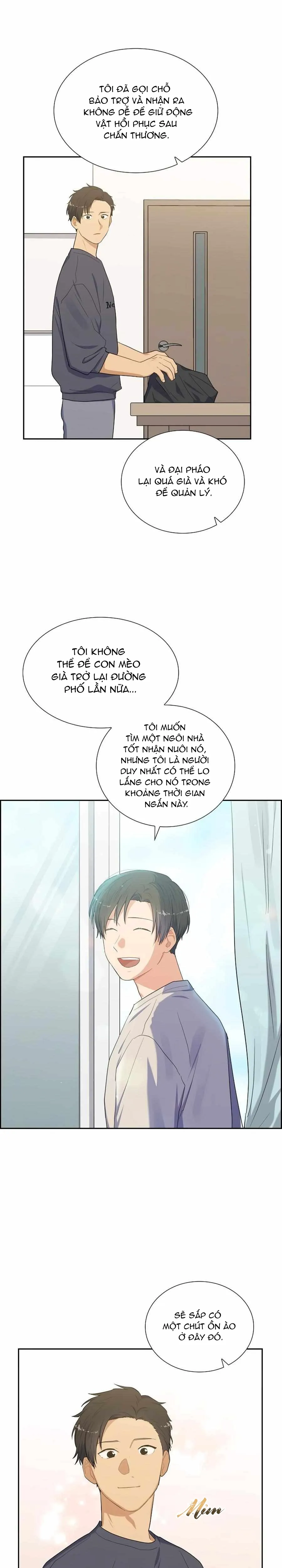 Người Tình, Mèo và Kẻ Sát Nhân - Chương 27