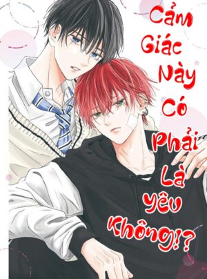 Truyện Cảm Giác Này Có Phải Là Yêu Không!?