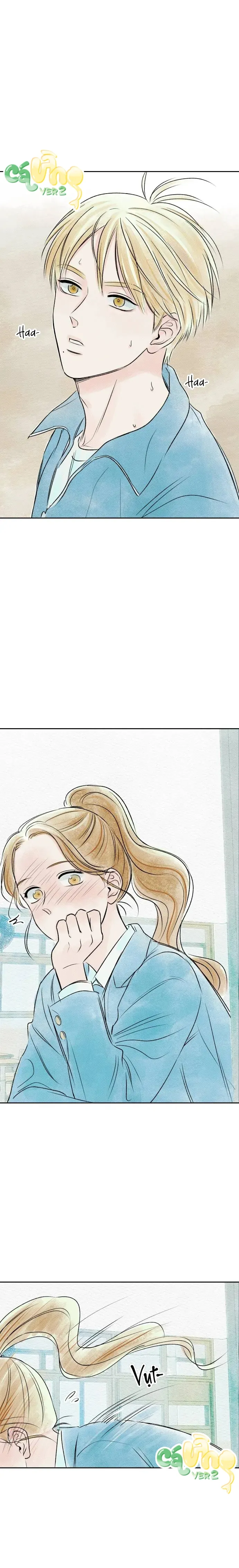 Trước Khi Hè Gõ Cửa - Oneshot 