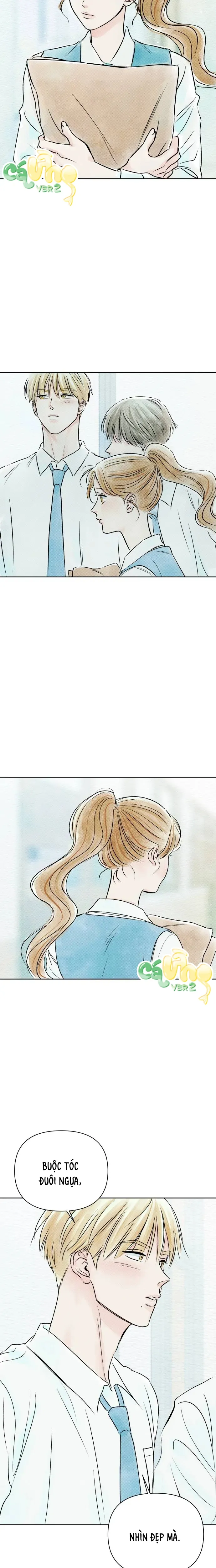 Trước Khi Hè Gõ Cửa - Oneshot 