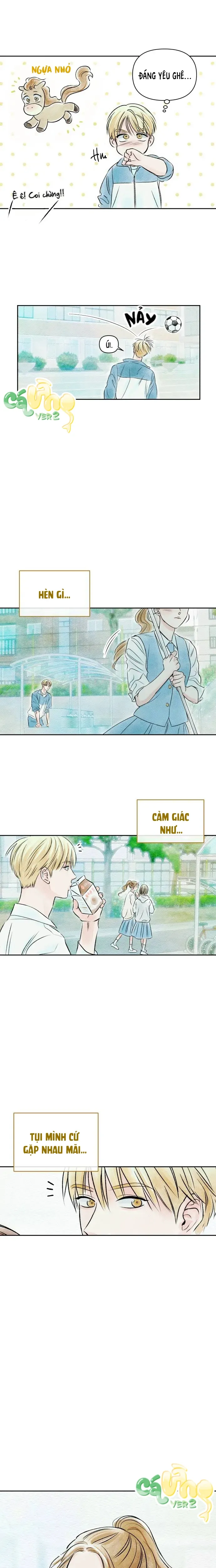 Trước Khi Hè Gõ Cửa - Oneshot 