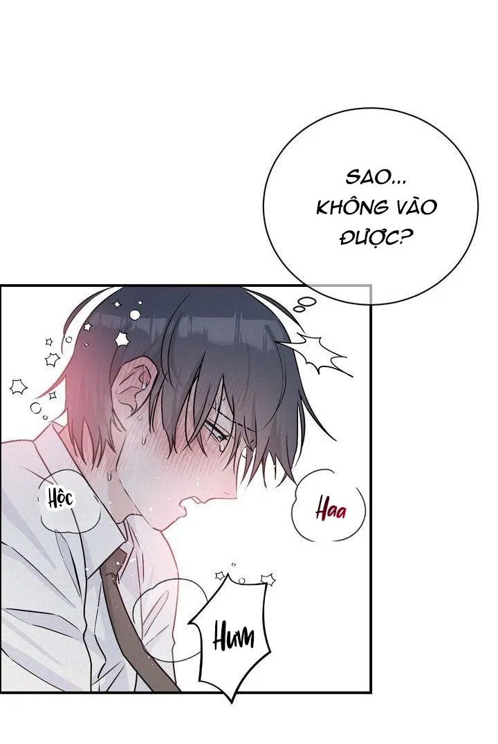 Bạn Trai Thuê - Chương 4 H