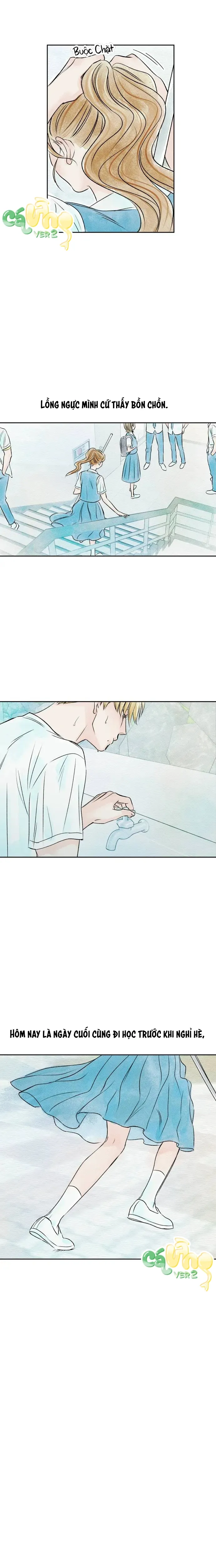 Trước Khi Hè Gõ Cửa - Oneshot 