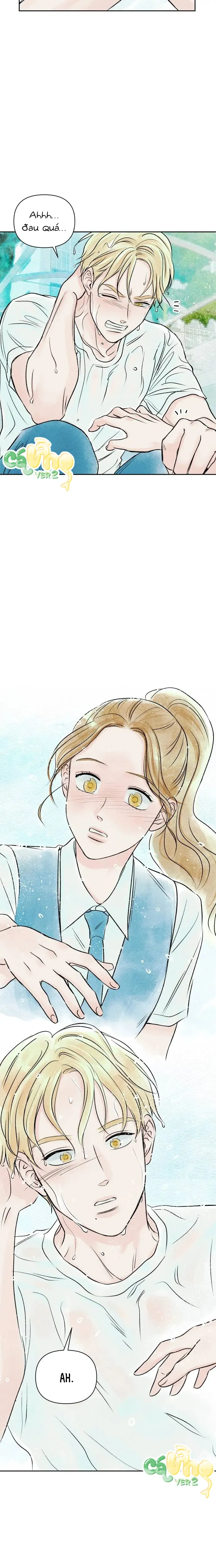 Trước Khi Hè Gõ Cửa - Oneshot 