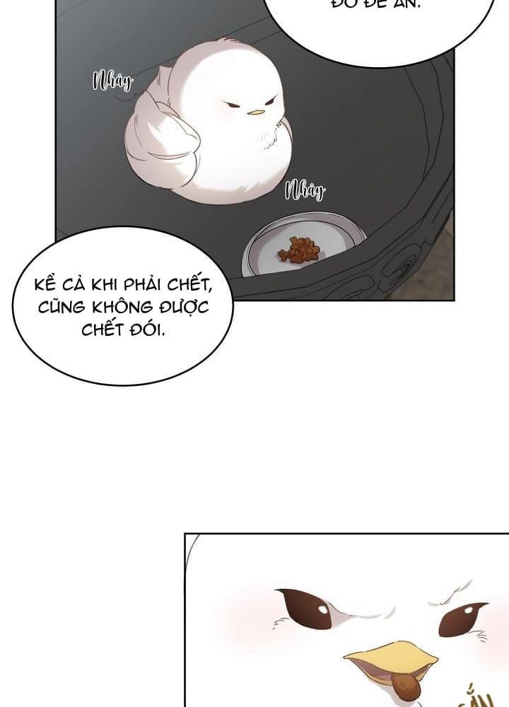 Nè, Đừng Nhấn Vào Nút Đó - Chương 2