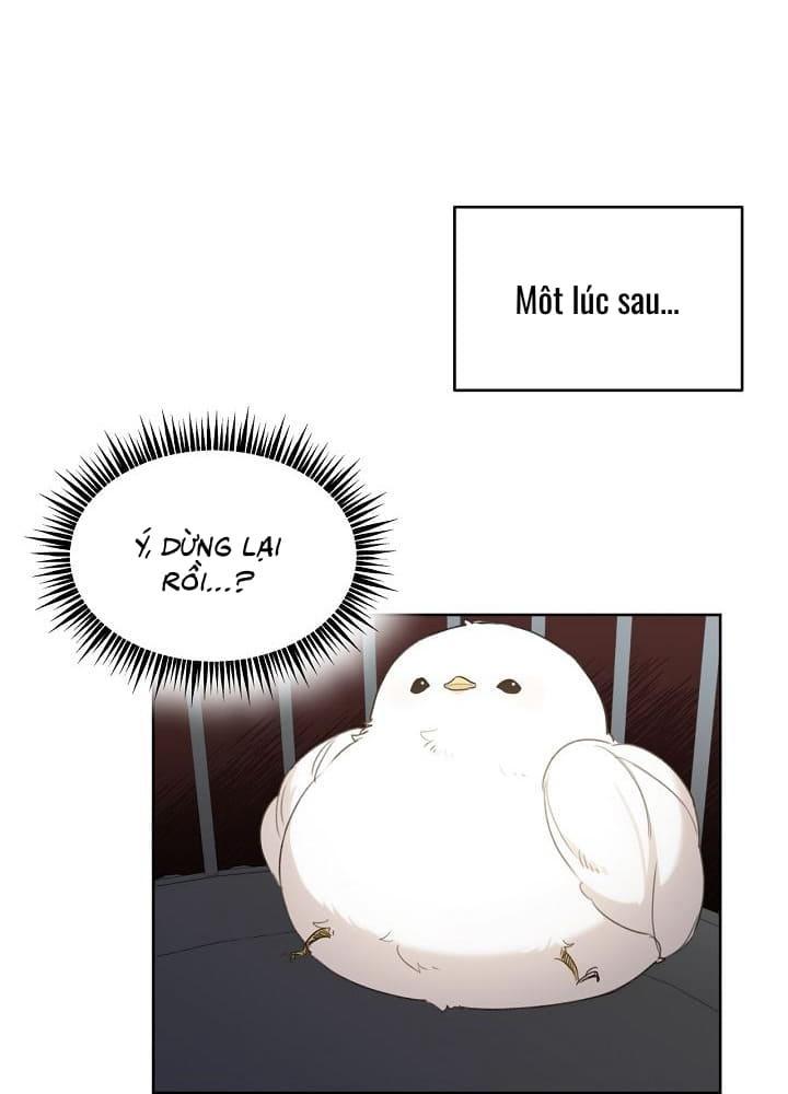 Nè, Đừng Nhấn Vào Nút Đó - Chương 2