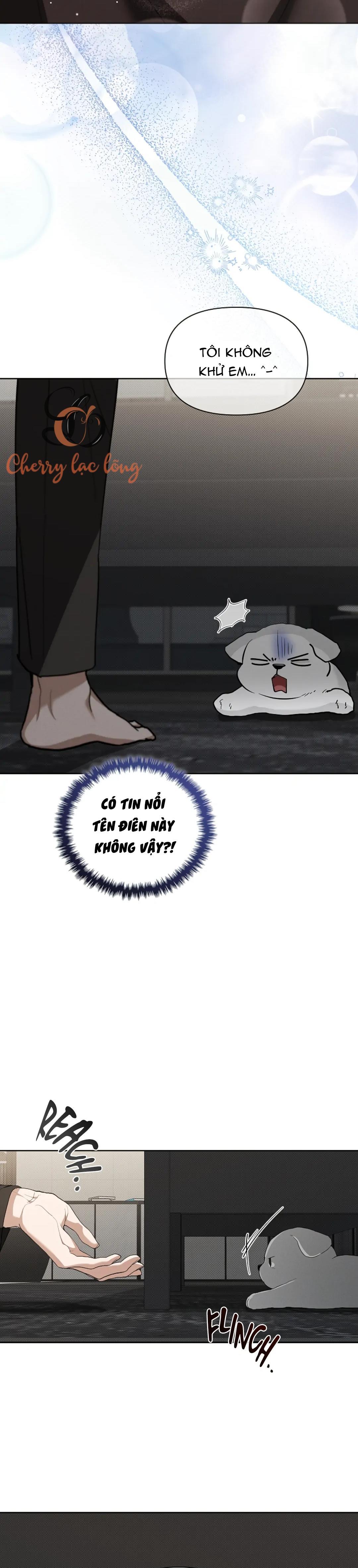 Đừng Đụng Vào Cún Cưng - Chương 19