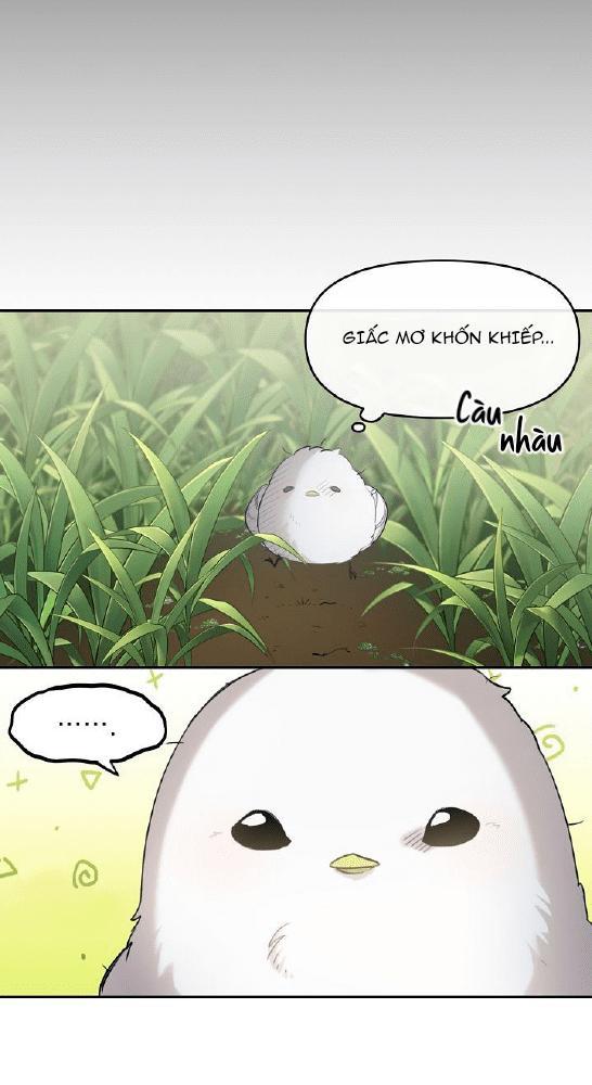 Nè, Đừng Nhấn Vào Nút Đó - Chương 1
