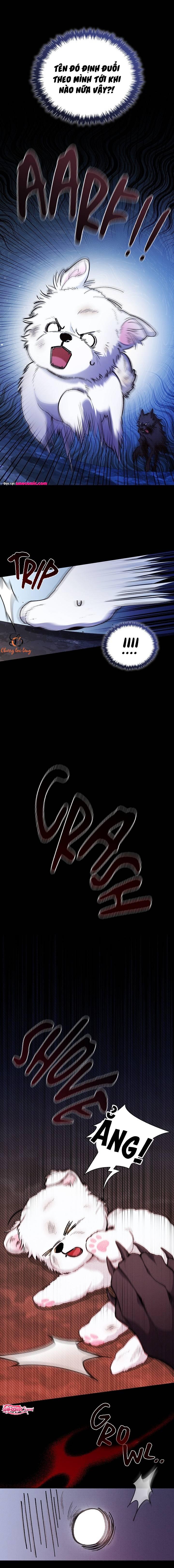 Đừng Đụng Vào Cún Cưng - Chương 1