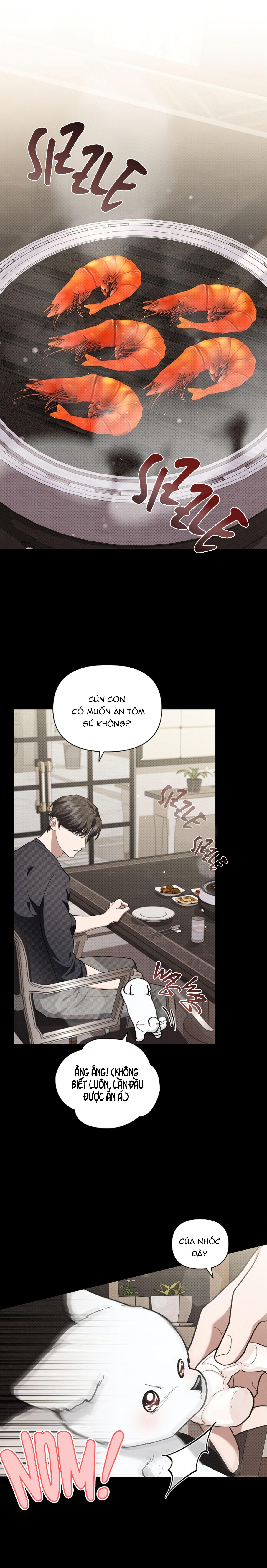 Đừng Đụng Vào Cún Cưng - Chương 7