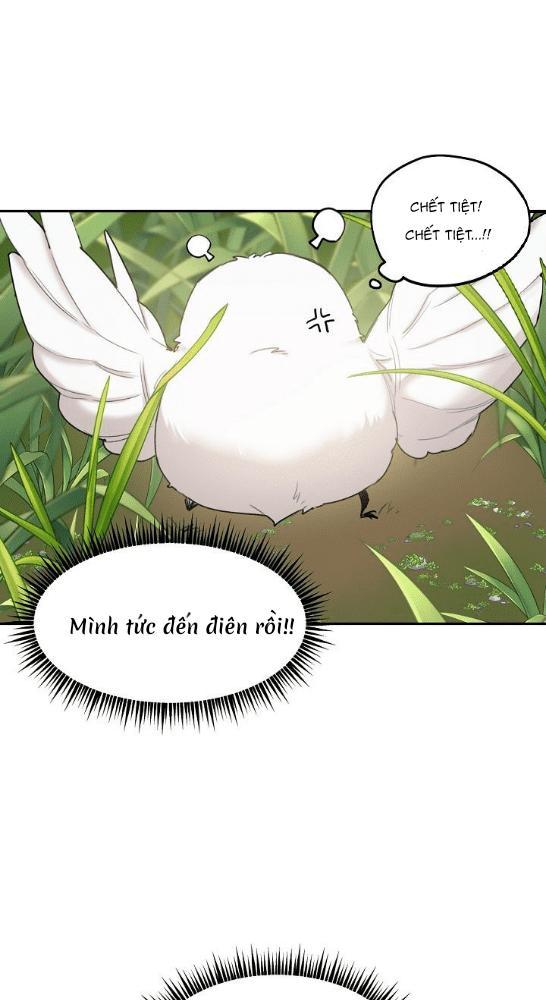 Nè, Đừng Nhấn Vào Nút Đó - Chương 1