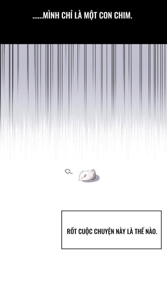 Nè, Đừng Nhấn Vào Nút Đó - Chương 1
