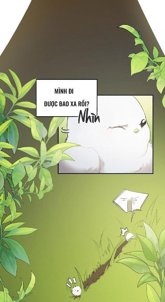 Nè, Đừng Nhấn Vào Nút Đó - Chương 1
