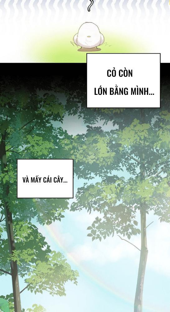 Nè, Đừng Nhấn Vào Nút Đó - Chương 1