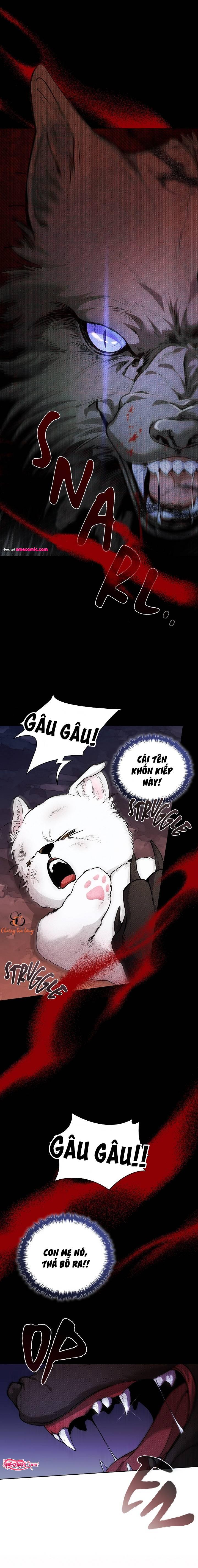 Đừng Đụng Vào Cún Cưng - Chương 1