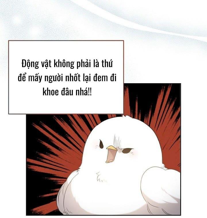 Nè, Đừng Nhấn Vào Nút Đó - Chương 2