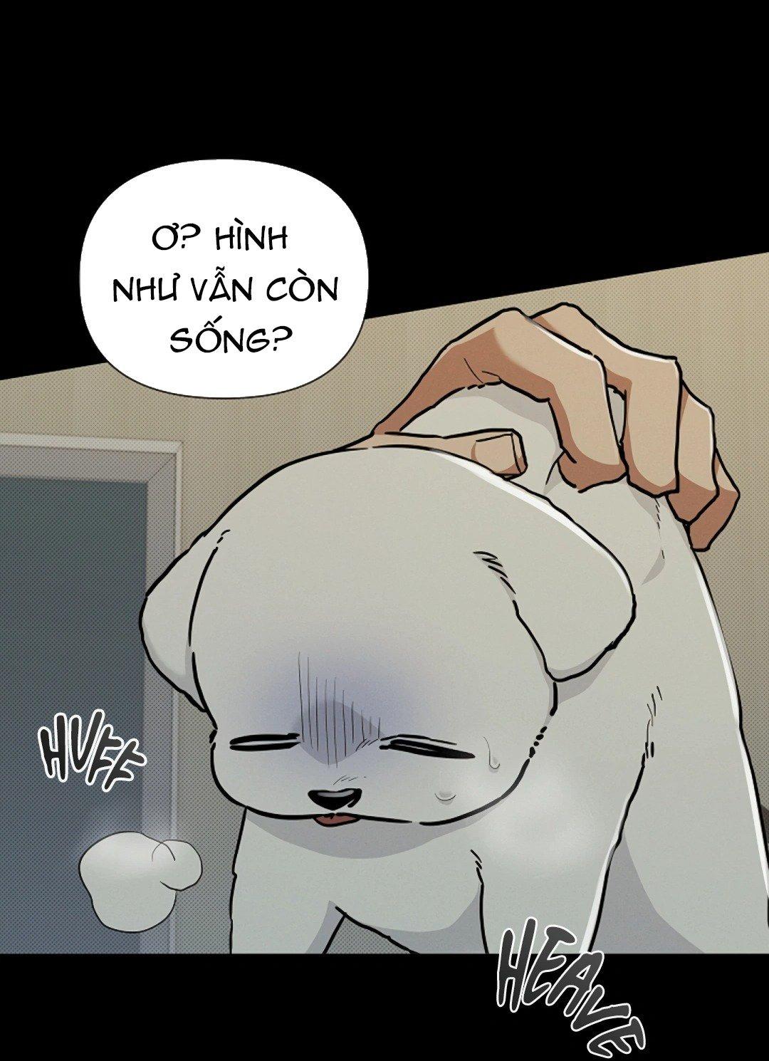 Đừng Đụng Vào Cún Cưng - Chương 16
