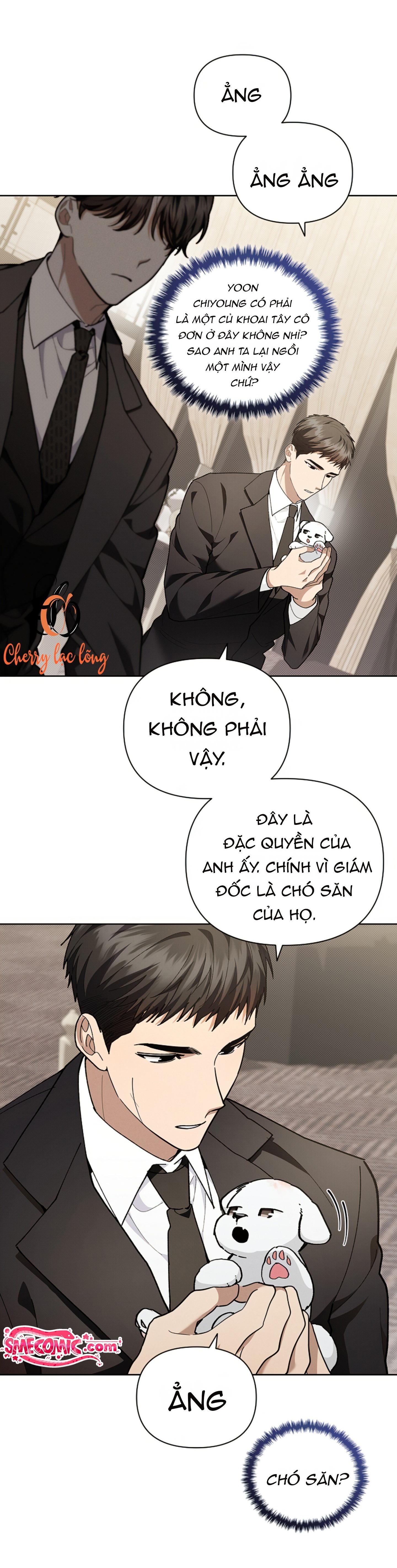 Đừng Đụng Vào Cún Cưng - Chương 10