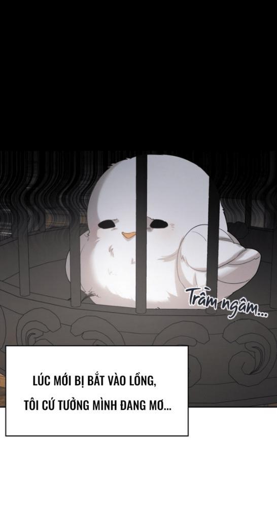 Nè, Đừng Nhấn Vào Nút Đó - Chương 1