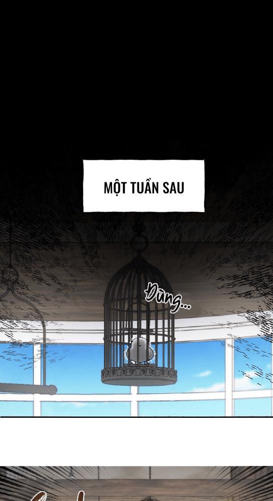 Nè, Đừng Nhấn Vào Nút Đó - Chương 1