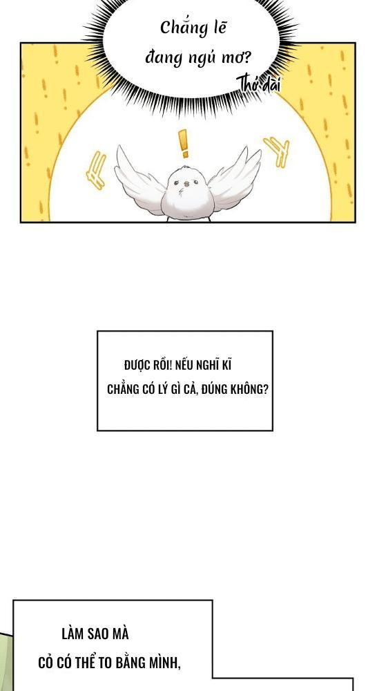 Nè, Đừng Nhấn Vào Nút Đó - Chương 1
