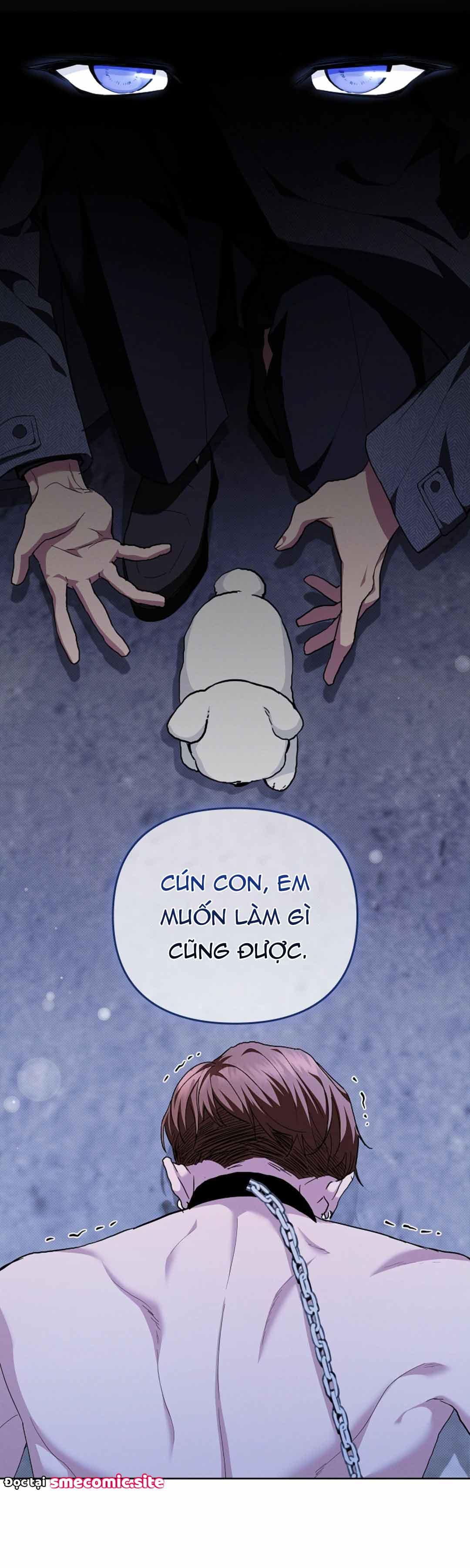 Đừng Đụng Vào Cún Cưng - Chương 17
