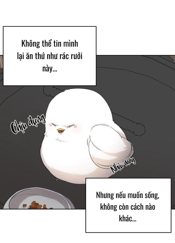 Nè, Đừng Nhấn Vào Nút Đó - Chương 2