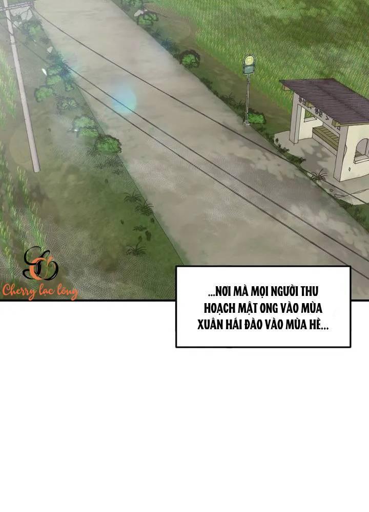 Những Ngày Rực Nắng Của Chúng Ta - Chương 1