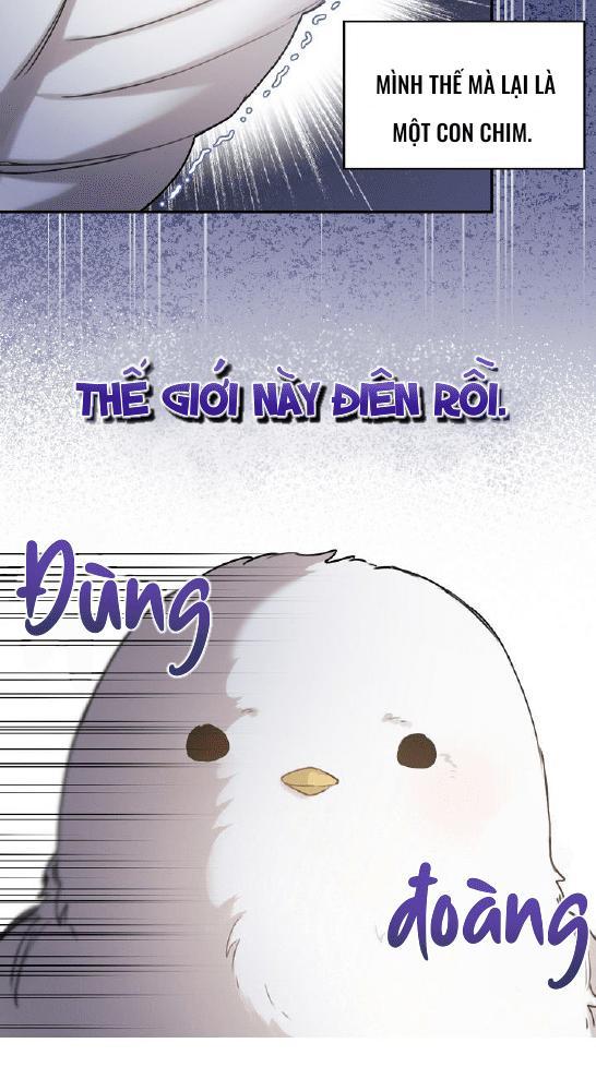 Nè, Đừng Nhấn Vào Nút Đó - Chương 1