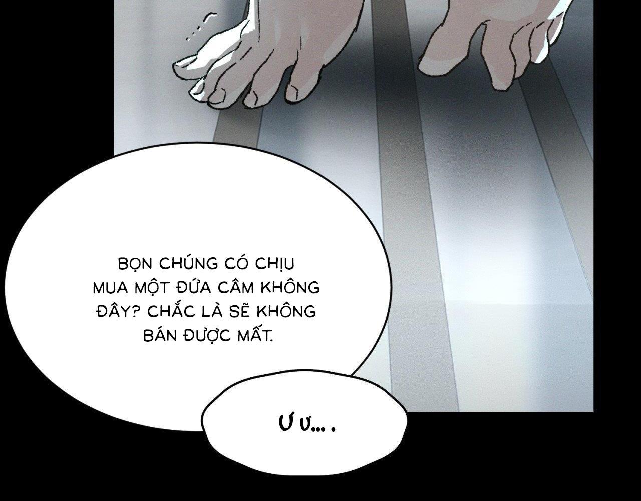 Che Giấu - Chương 1