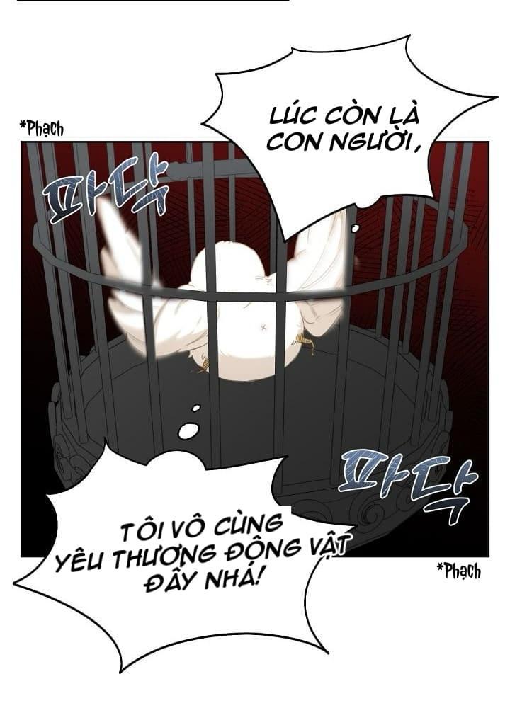 Nè, Đừng Nhấn Vào Nút Đó - Chương 2