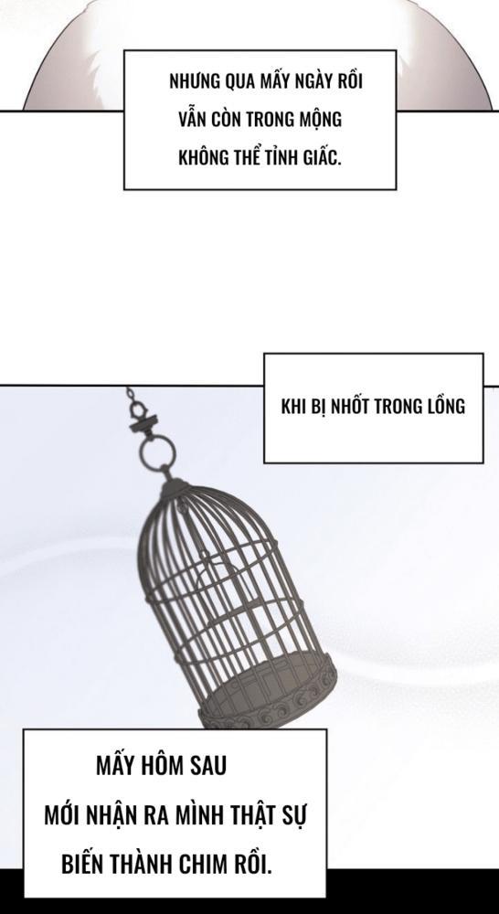 Nè, Đừng Nhấn Vào Nút Đó - Chương 1
