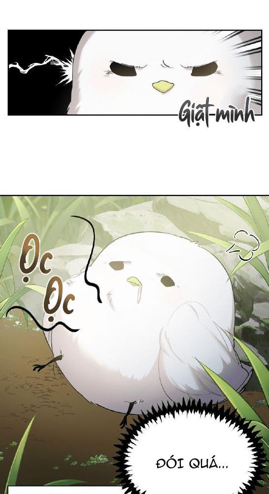 Nè, Đừng Nhấn Vào Nút Đó - Chương 1