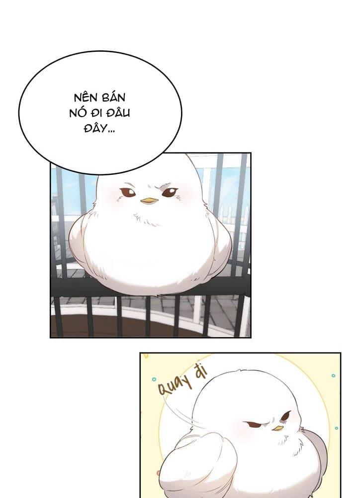 Nè, Đừng Nhấn Vào Nút Đó - Chương 2