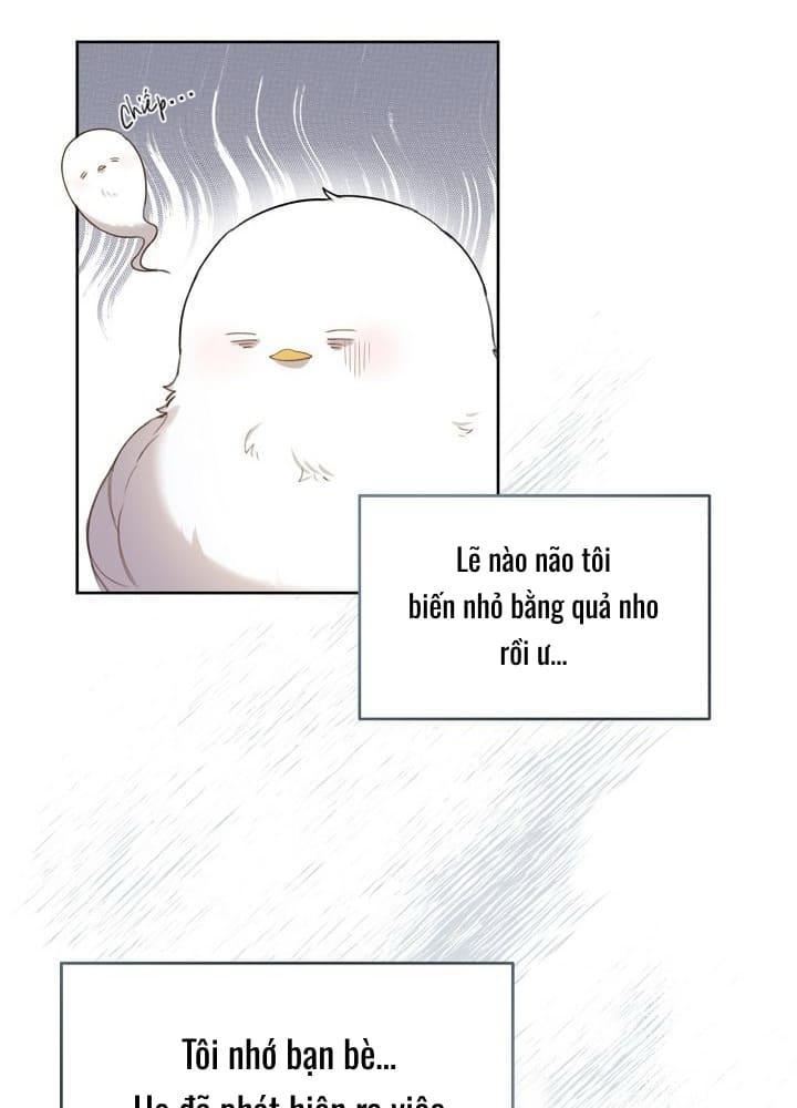 Nè, Đừng Nhấn Vào Nút Đó - Chương 2