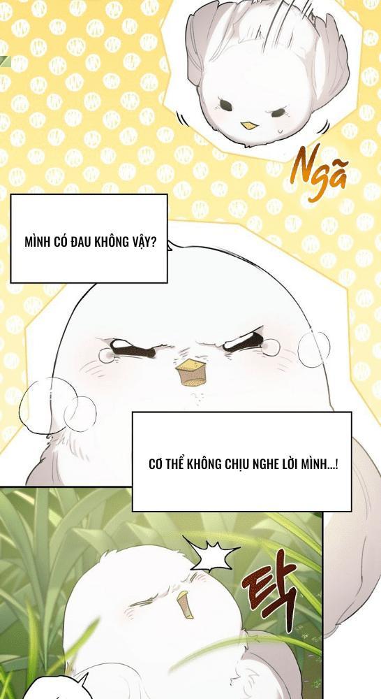 Nè, Đừng Nhấn Vào Nút Đó - Chương 1