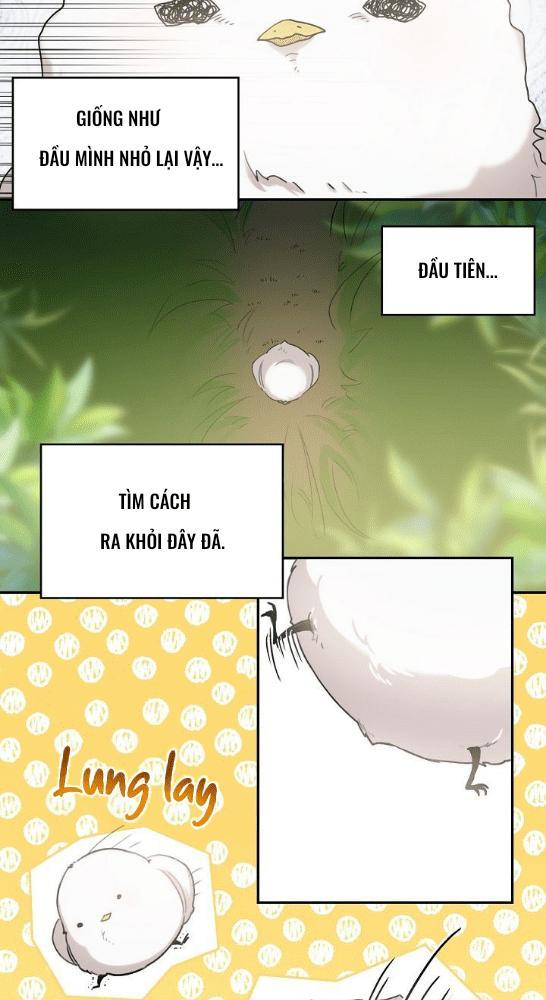 Nè, Đừng Nhấn Vào Nút Đó - Chương 1