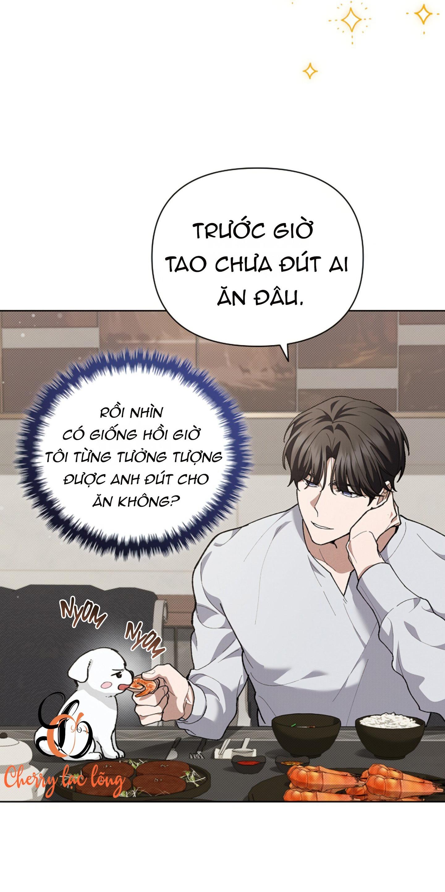 Đừng Đụng Vào Cún Cưng - Chương 10