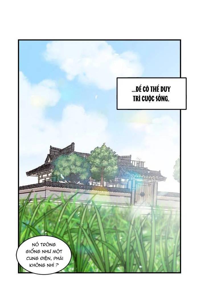 Những Ngày Rực Nắng Của Chúng Ta - Chương 1