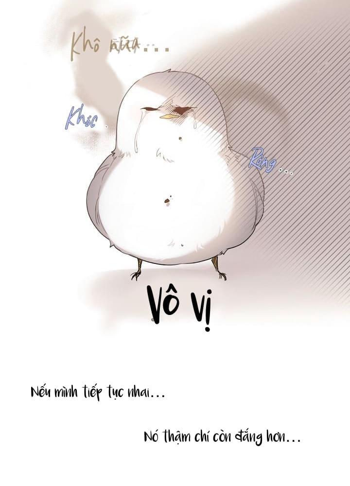 Nè, Đừng Nhấn Vào Nút Đó - Chương 2